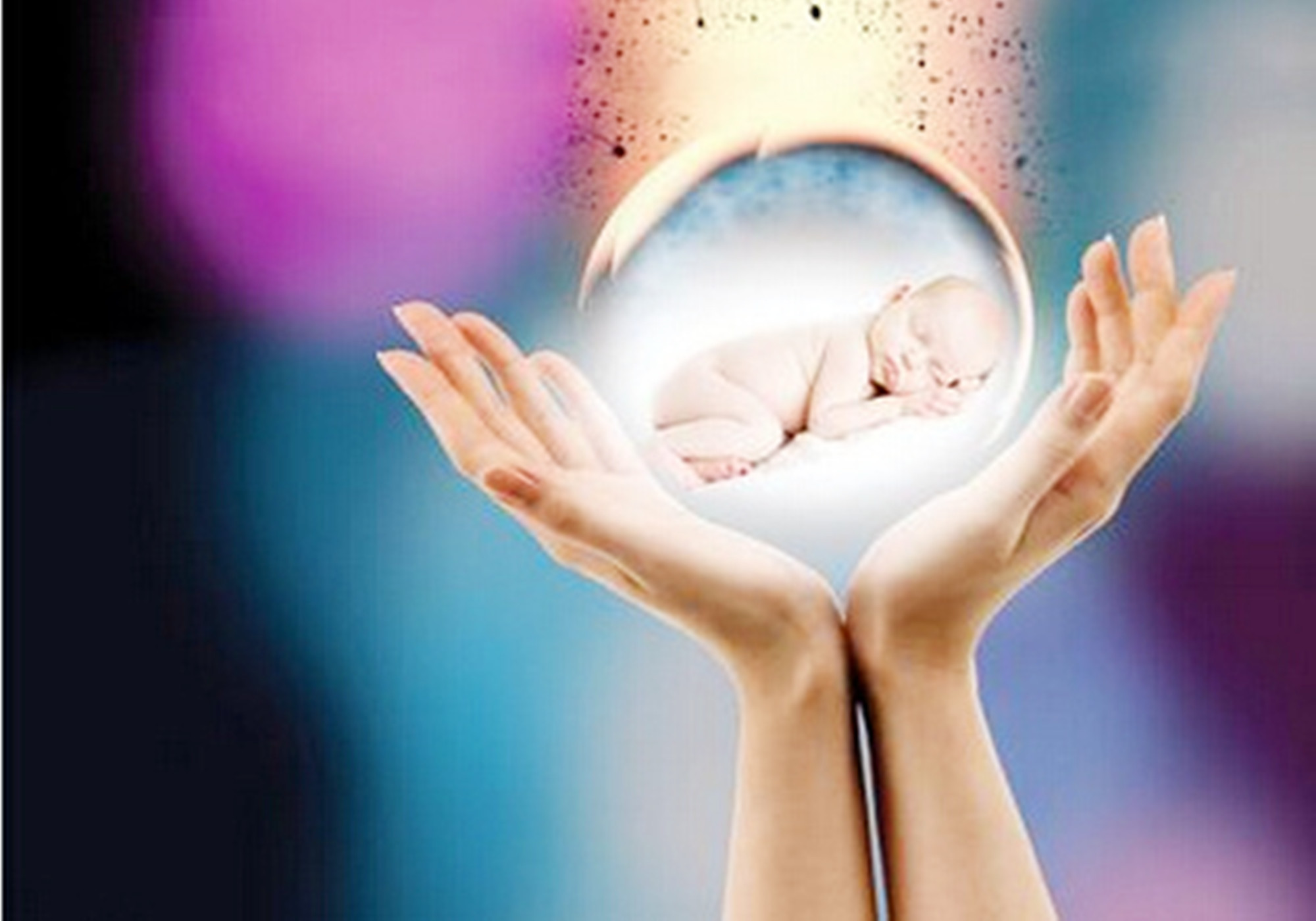 美国产子费用构成分析