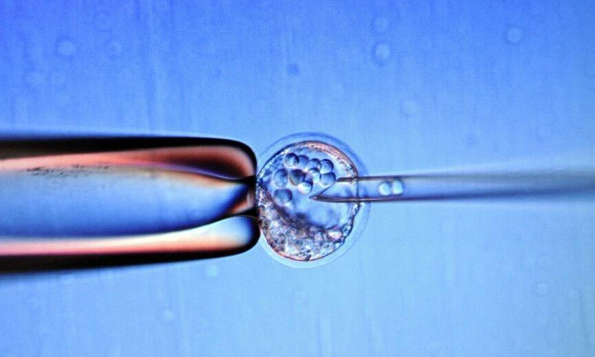 美国试管婴儿中介成功率分析报告